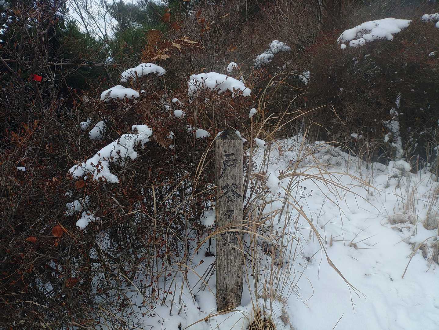 さんちょ⛰️
ココからの下りも急😱😱😱
