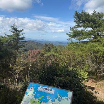 海が見える山へ来たのはYAMAP始めてから初めてかな🤔