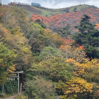んー、昨日より赤少なくなってる？