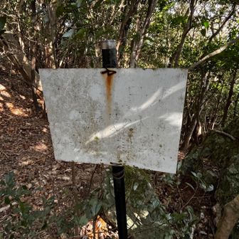 ウバメガシ
備長炭の木と書いて有ったんだと思うその下は何だった？「津」と見えるけど