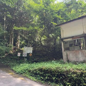 無事下山
早めに登って早めに下山完了✨
私の他に車１台増えてた