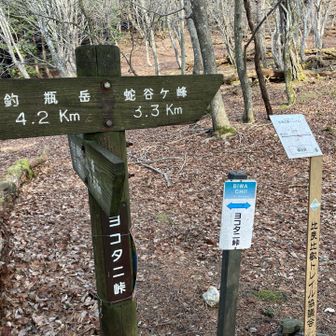 稜線までの急登を一時間かけて登りました。
ここを頑張れば、あとはうんと楽になります。