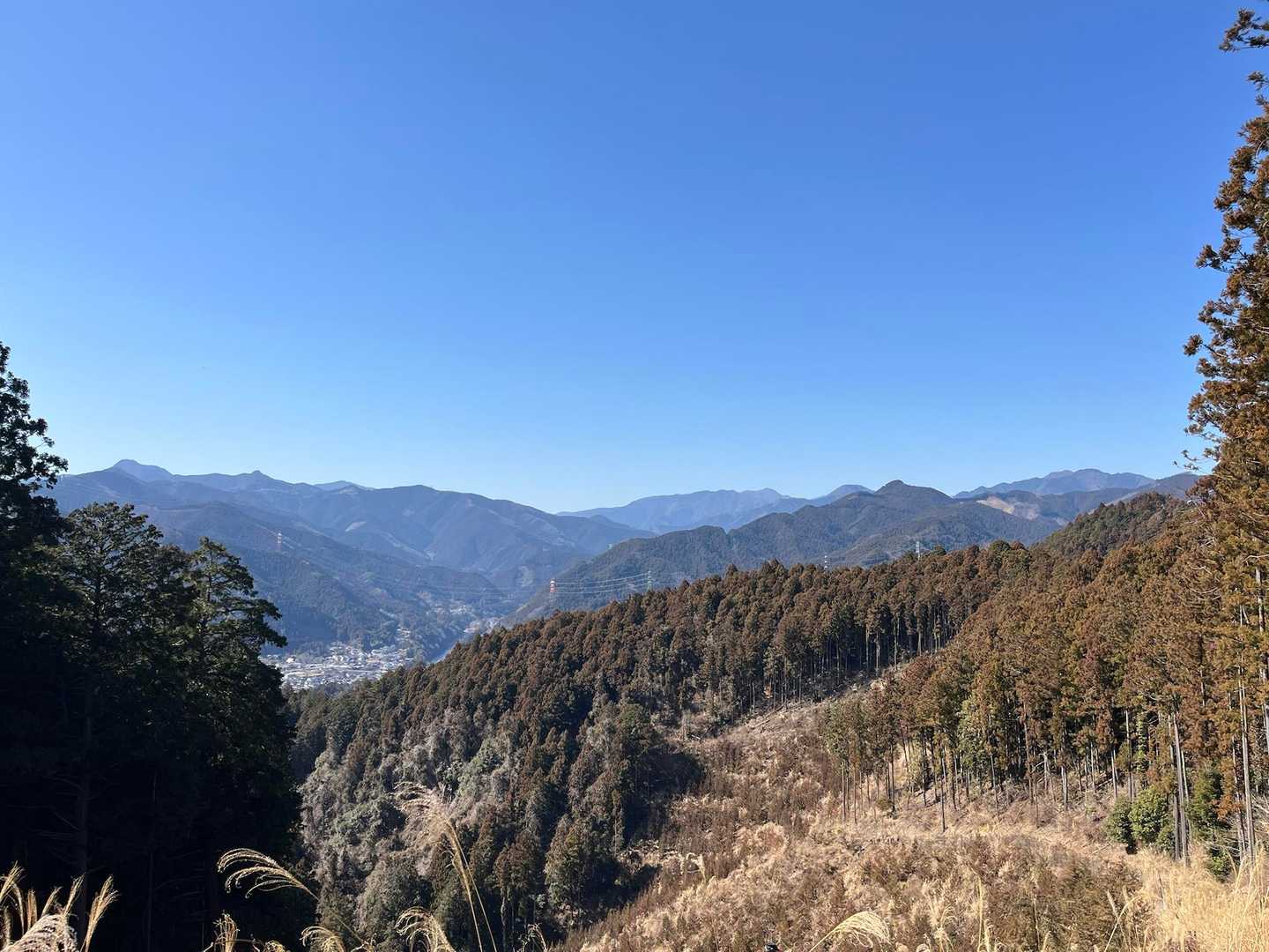 反対側は奥多摩の山々