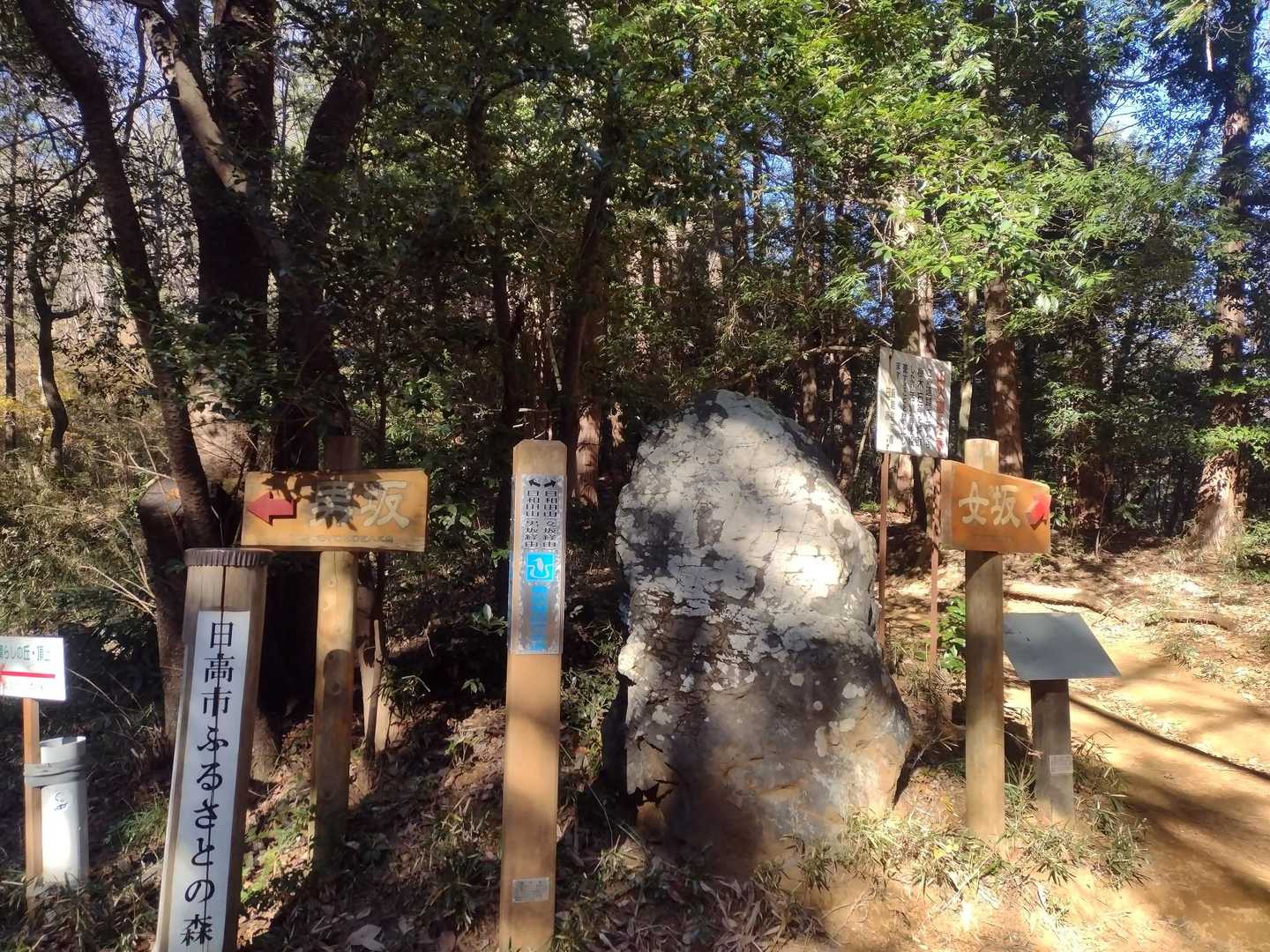 男坂から参りましょう