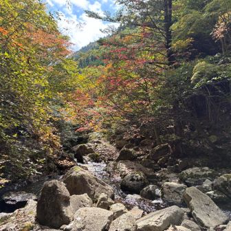 黒岩の滝　結構下だらされるしあぶない道もあり滝前特に。