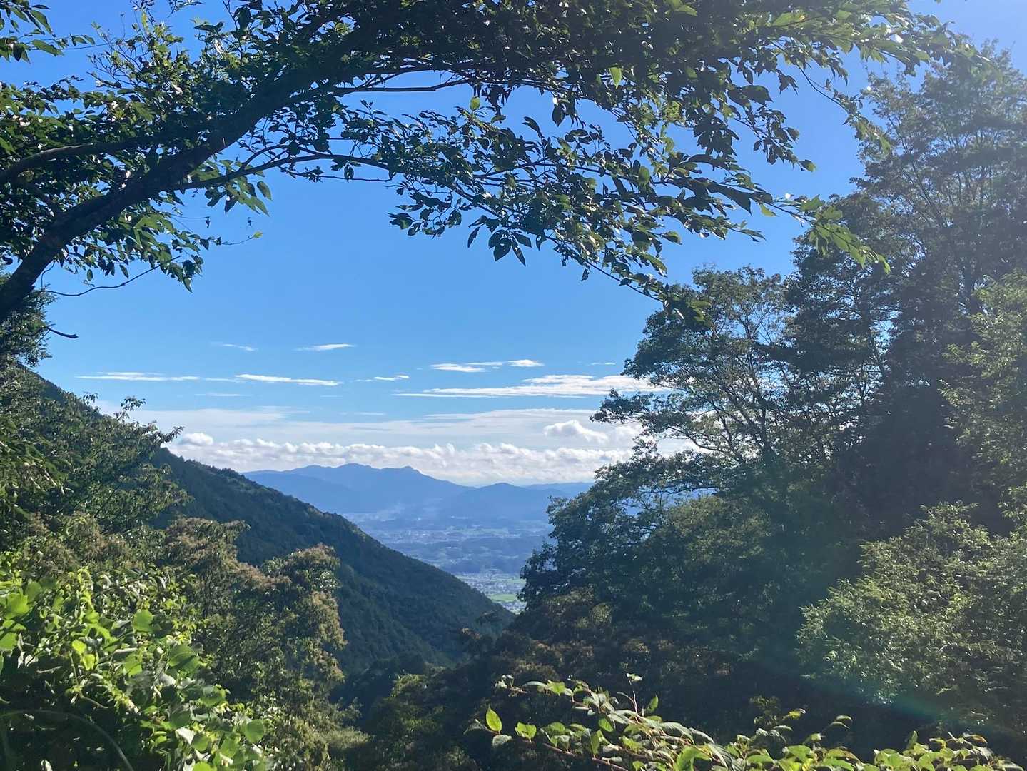 今日は奈良の山々の眺めが素晴らしい✨✨