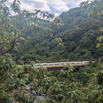 そうこうしてると、亀岡行きの車両が停車🚞