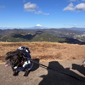 このベロに決意が表れてます👅
