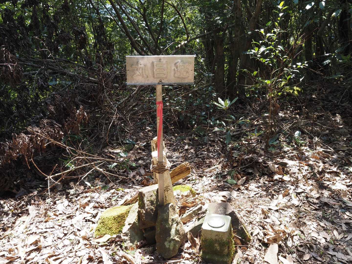 丸目岳登頂！