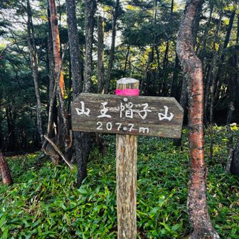 最初のピーク山王帽子山⛰️