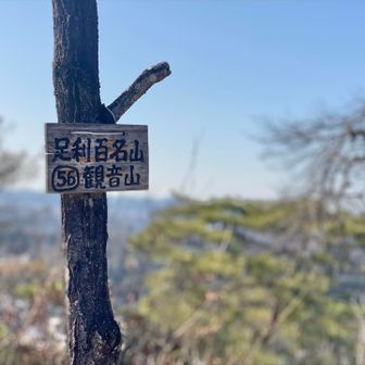 最後のピーク到着。頑張った〜。