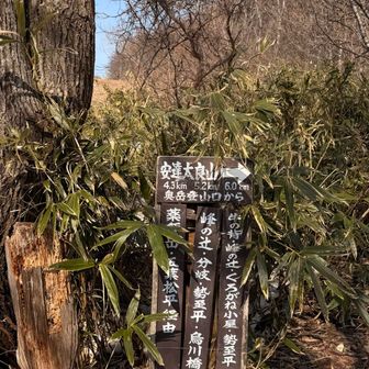 文明の利器は使いません🤗
ただのケチ😅
