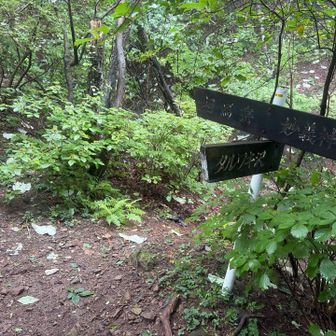 稜線に出た。左が最高峰の相馬岳、右が天狗岳。関東百名山扱いになっている相馬岳方面へ