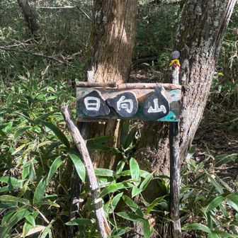 日向山（ひなたやま）山頂
約2.5Hrで到着〜！
山頂はビーチとは別、手前右奥にあり！