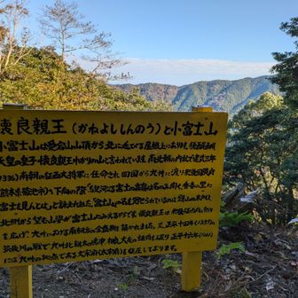 懷良親王（かねよししんのう）