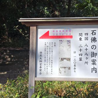 ここから入って行くよ