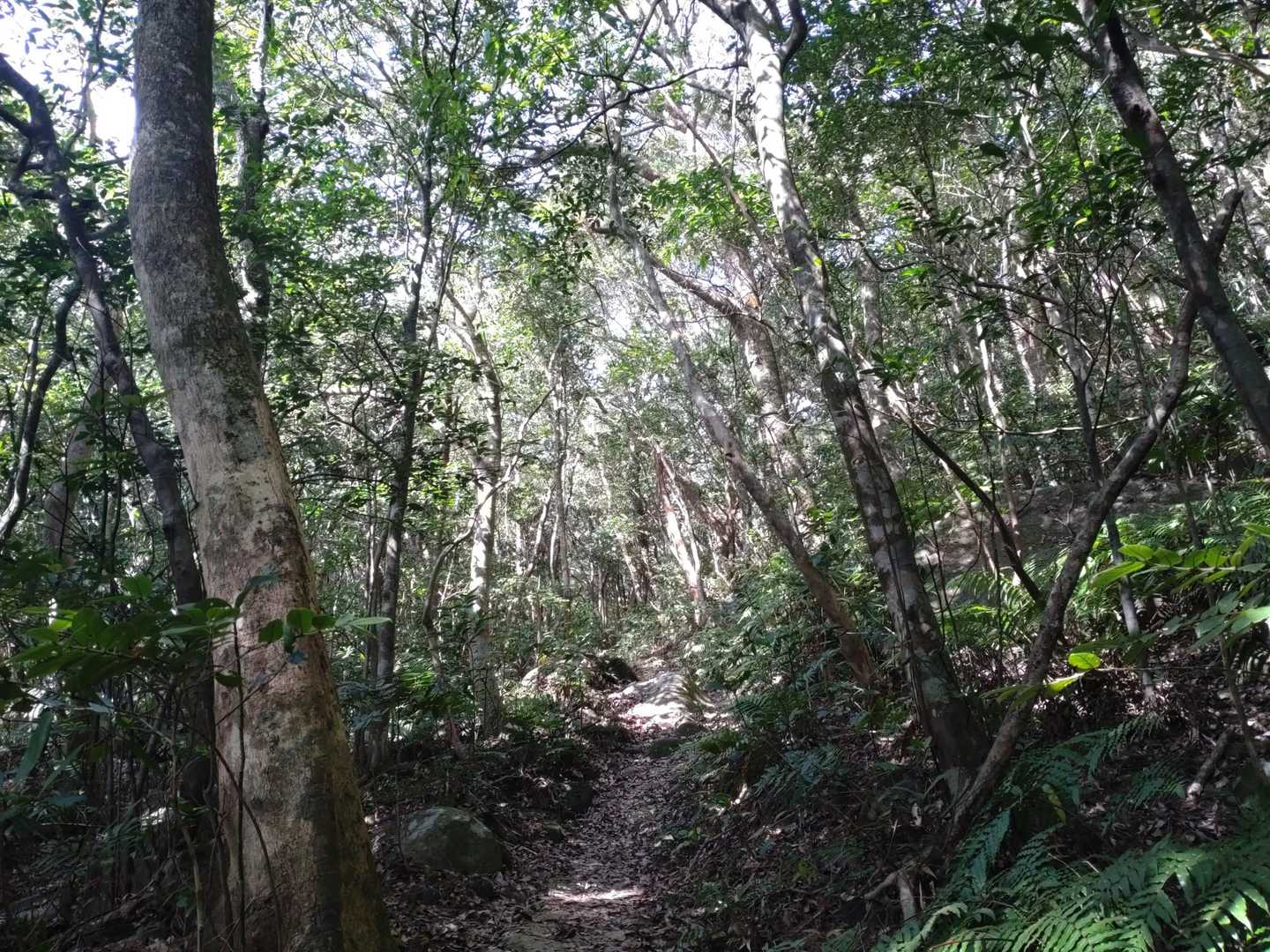 天気は良いけど、陽を遮ってくれて暑くない