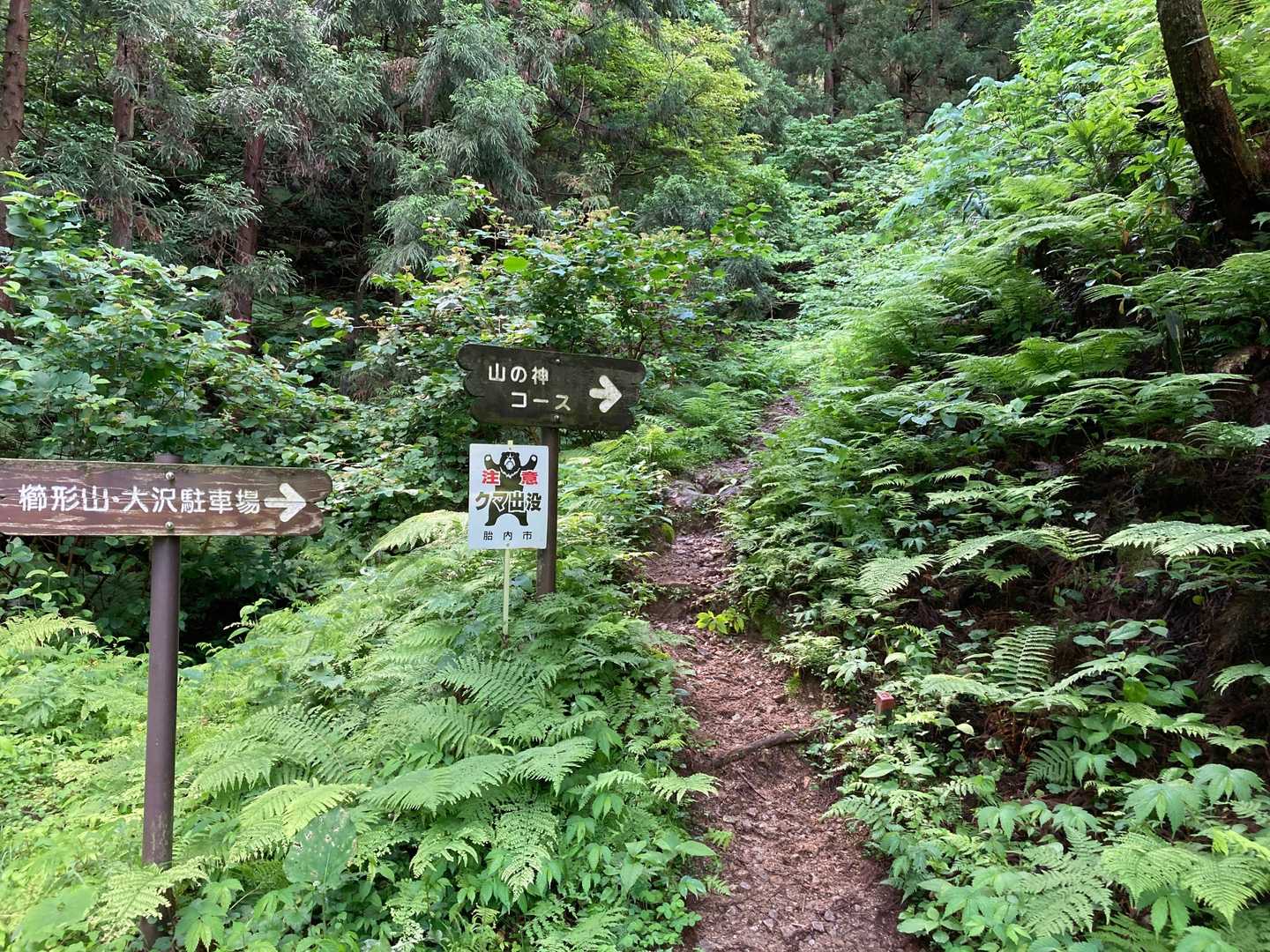 登ります