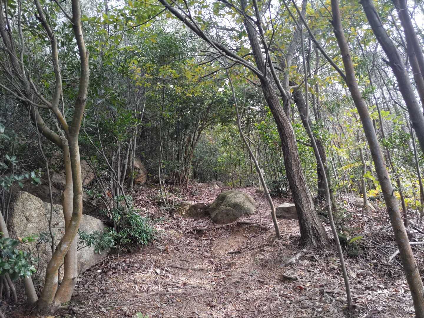 久しぶりの山歩きだから今日はのんびり行こ🚶‍♀️〜