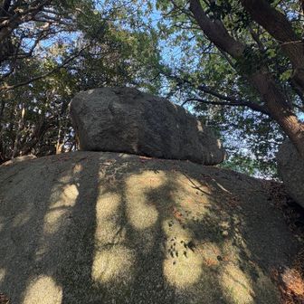 さゆさん、私も鏡餅に見えました🪨
🎶あと26日寝ると〜お正月〜🎍