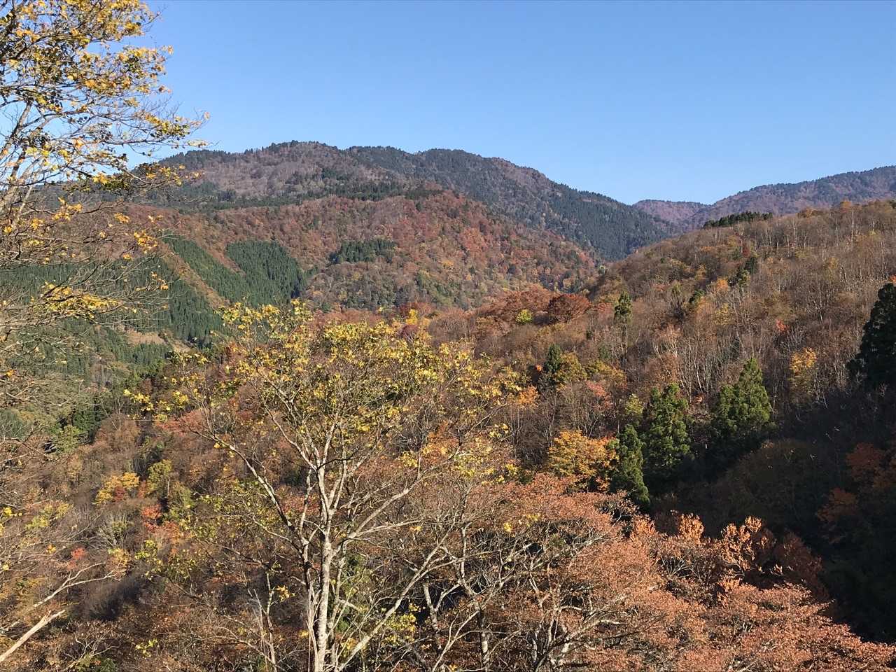 今日は1日天気が良かった👍