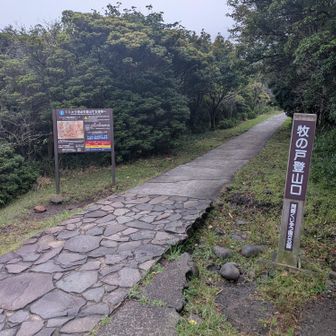 登山道の入口は石畳から始まります