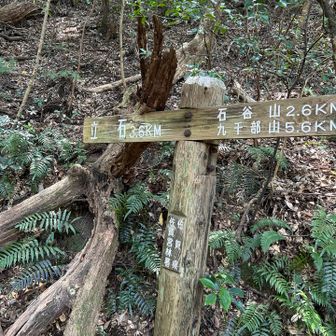 石谷山、九千部山方面へ