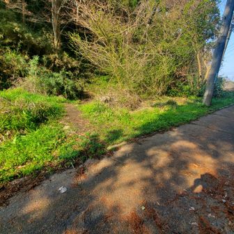登山口に気付かず通り越してしまった。戻ったところに登山口。登ってきて右側にあります。