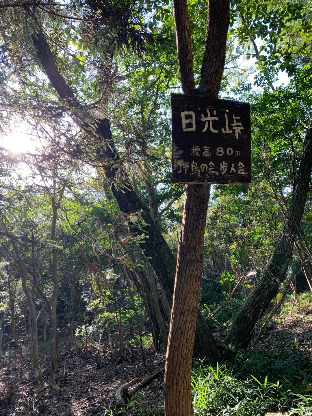 日光峠🙌