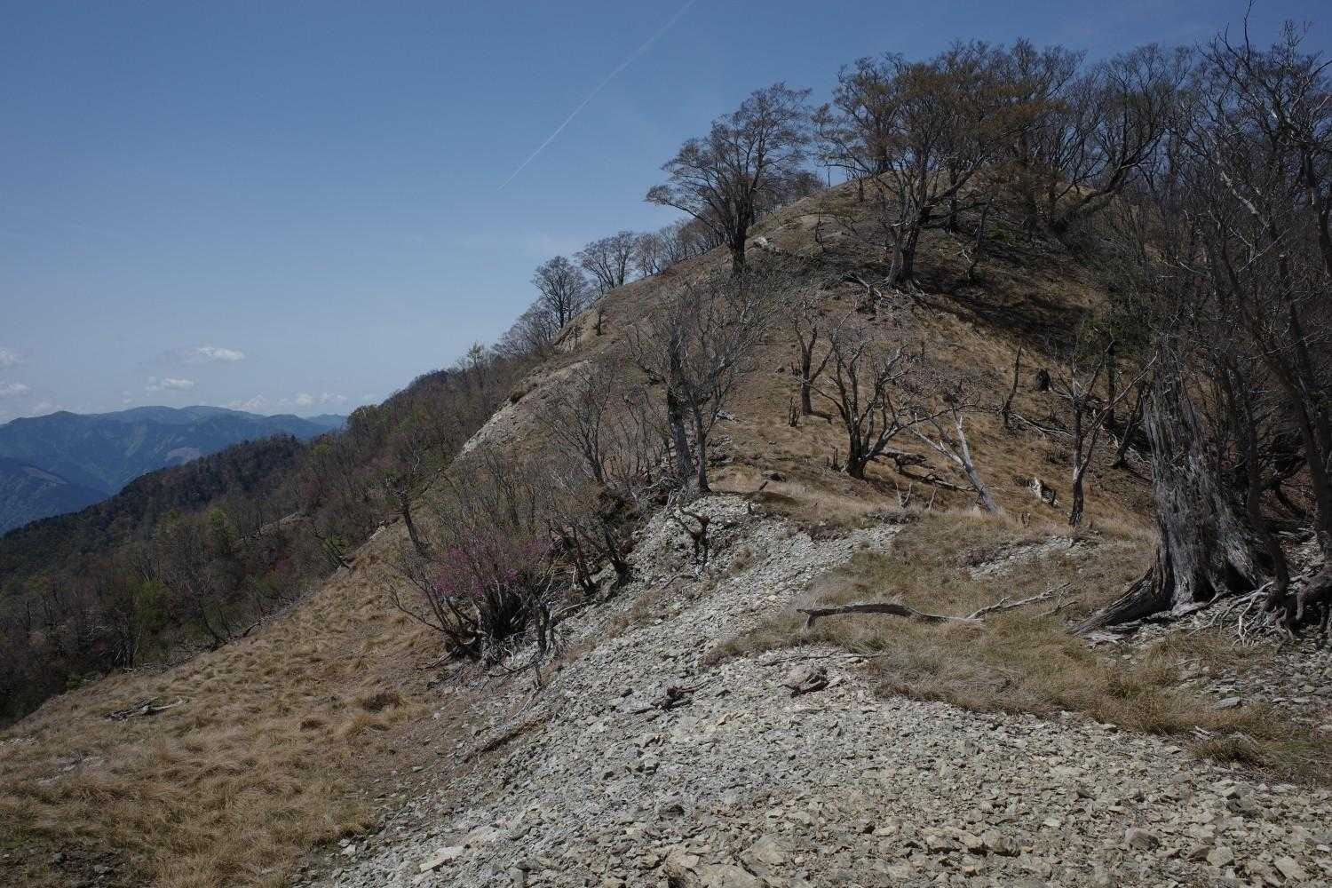 もうすぐ山頂