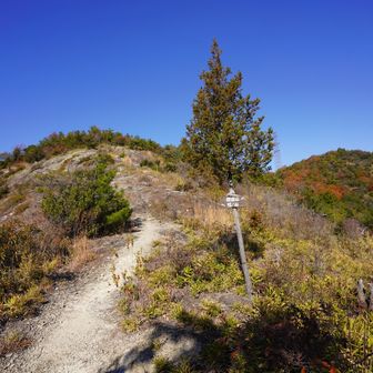相ノ山と飯盛山の分岐。