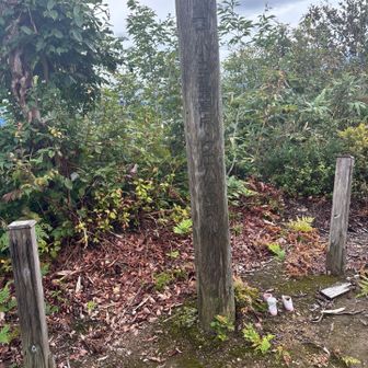 小出町（現魚沼市）最高点
その名も「黒禿の頭」
誰がこんな素敵な名を付けたのだろ。