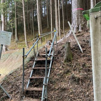 簡易トイレが現れたら、そこが分岐
行きは階段登って山頂へ向かうルート
こちらから登る人が多いのかな
(こっちのルートは 根っこ剥き出しの急登が多いです)