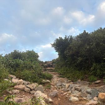 別当坂分岐へ