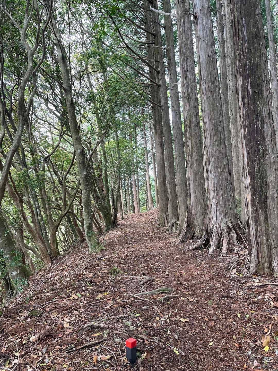 ルンルン