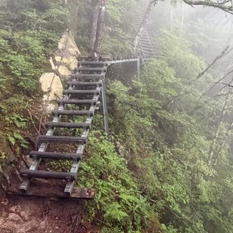 梯子まで出てきて