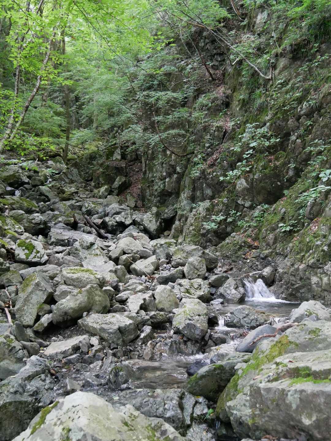 大峯大橋へ🚶‍♀️‍➡️