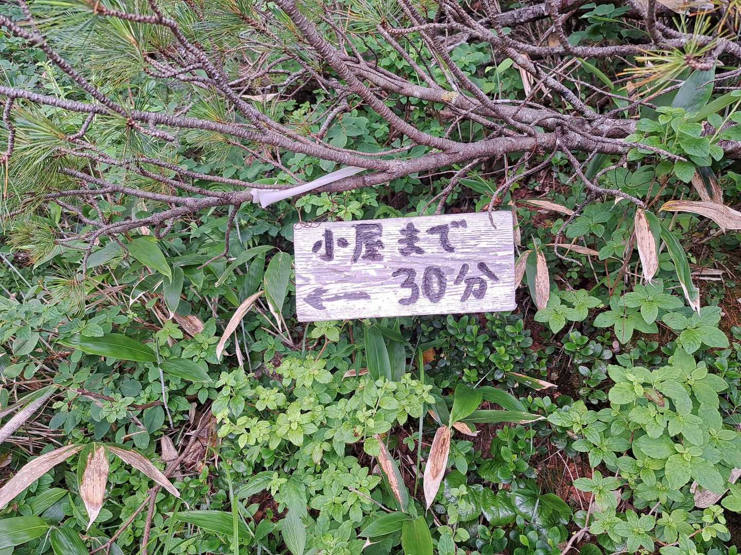 百曲がりもキツい
景色も途中で
大町が少し見えるだけ😵
ため息連発でした