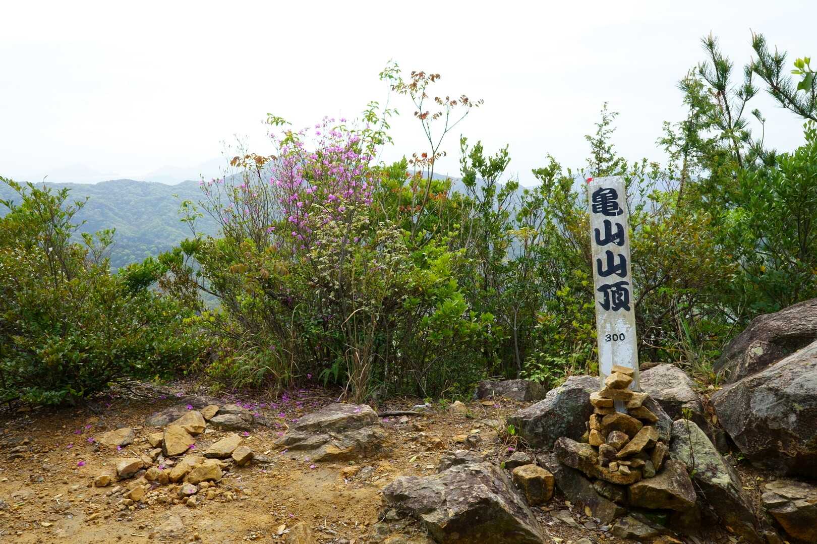 亀山の写真