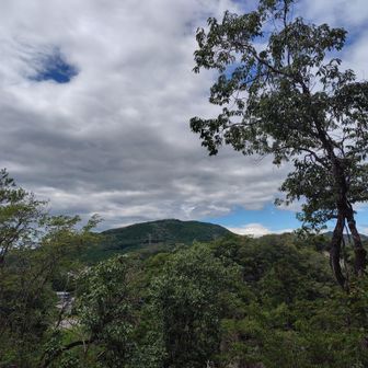 多気山が見えます💚
こちらも素敵な場所なんですよねぇ🥰