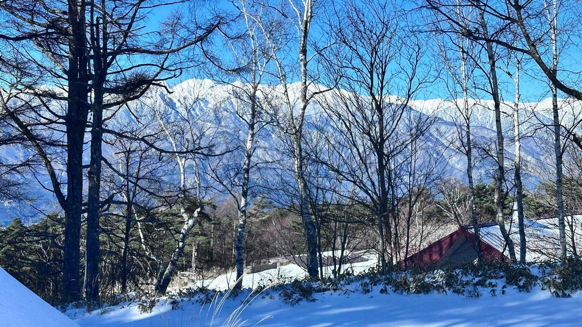 陣馬形山 往復コースの写真