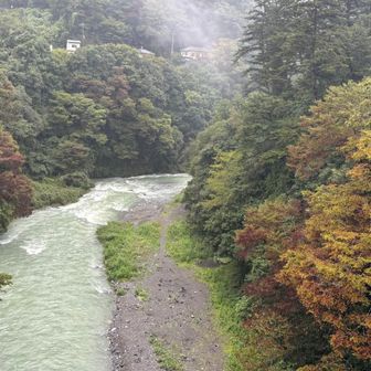 そろそろトレイルも終盤