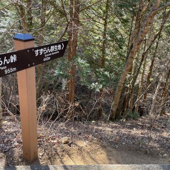 帰りはすずらん群生地とおります