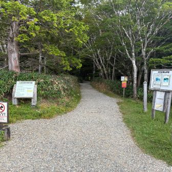 登山口