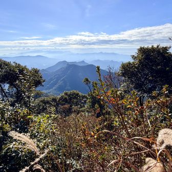 今から向かう前黒髪