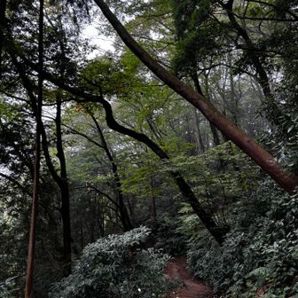 静かな4号路へ