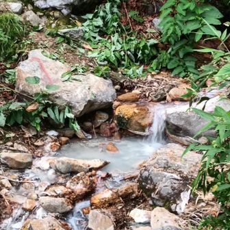 沢の水と混ざってぬるい