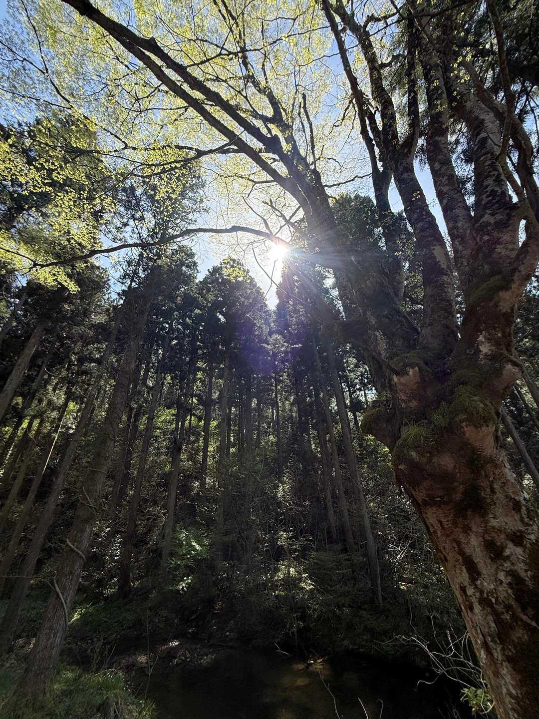遣水観音山-遣水山観音堂 周回コースの写真