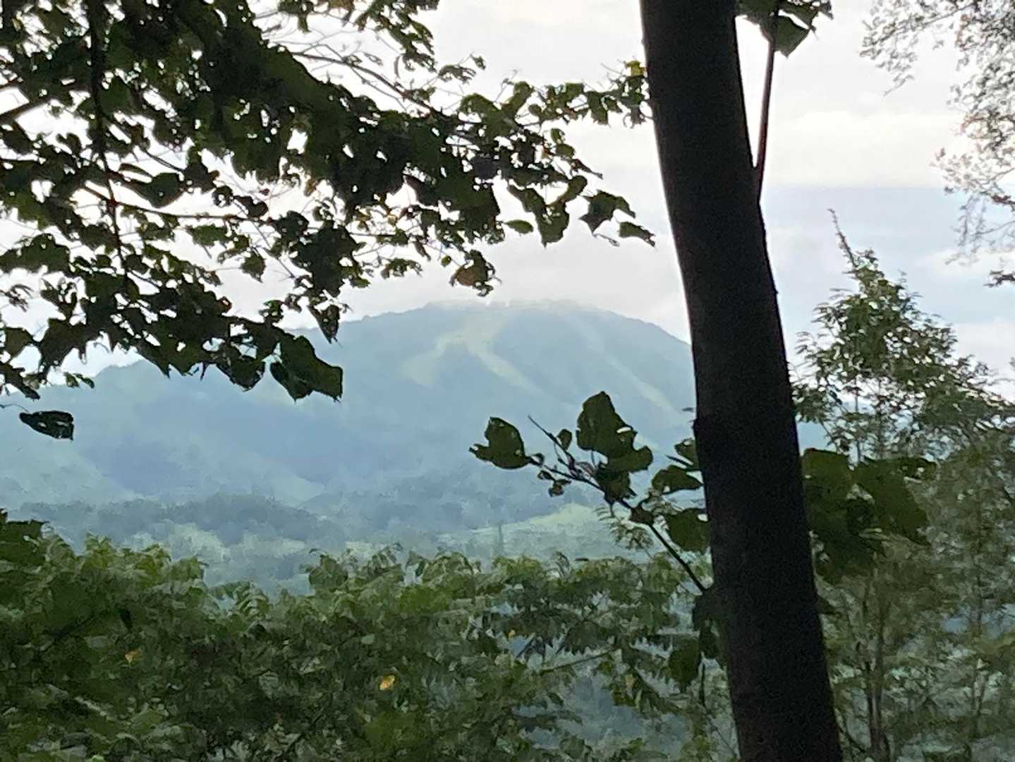 唯一の眺望、かもい岳のスキー場かな❓