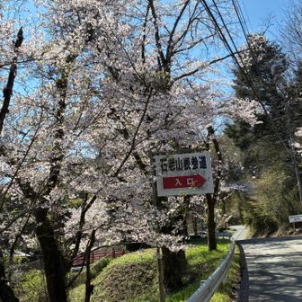 登山口　🌸満開